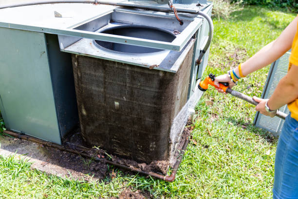 Best Air Duct Sanitizing Services  in Laredo, TX